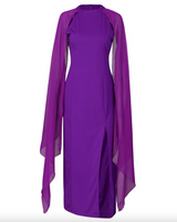 <tc>1970's</tc> Evening Dress <tc>L</tc>ongue Disco